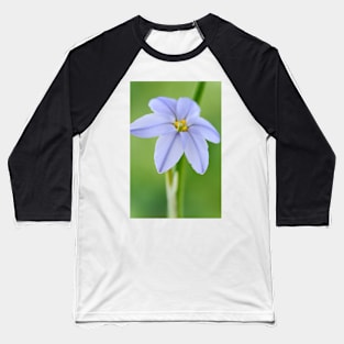 Ipheion &#39;Rolf Fiedler&#39; AGM Spring starflower Baseball T-Shirt